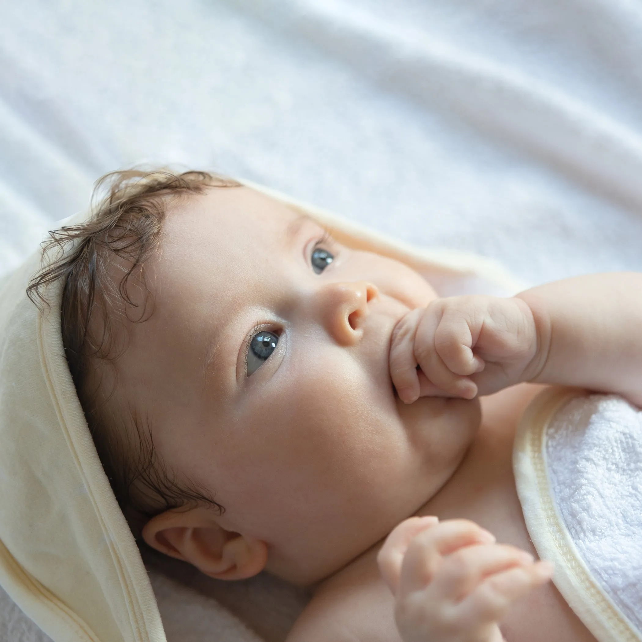 Nordic 2pk Hooded Towel Vanilla/Latte