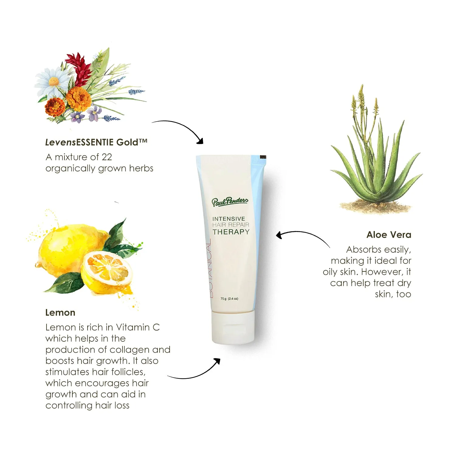 Paul Penders Intensive Hair Repair Therapy 75g