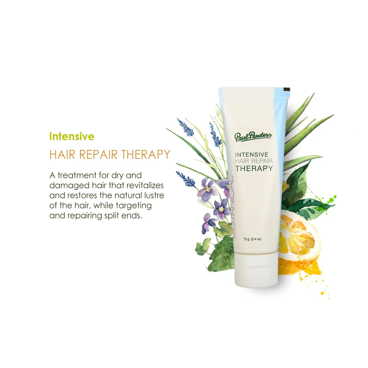 Paul Penders Intensive Hair Repair Therapy 75g