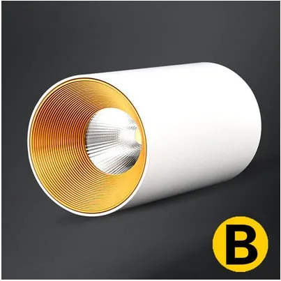 Surface Mounted Cylindrical LED COB Downlight Gold Reflector 7W 10W 15W 18W LED Ceiling Bulbs Lamp Spot Light LED Downlight