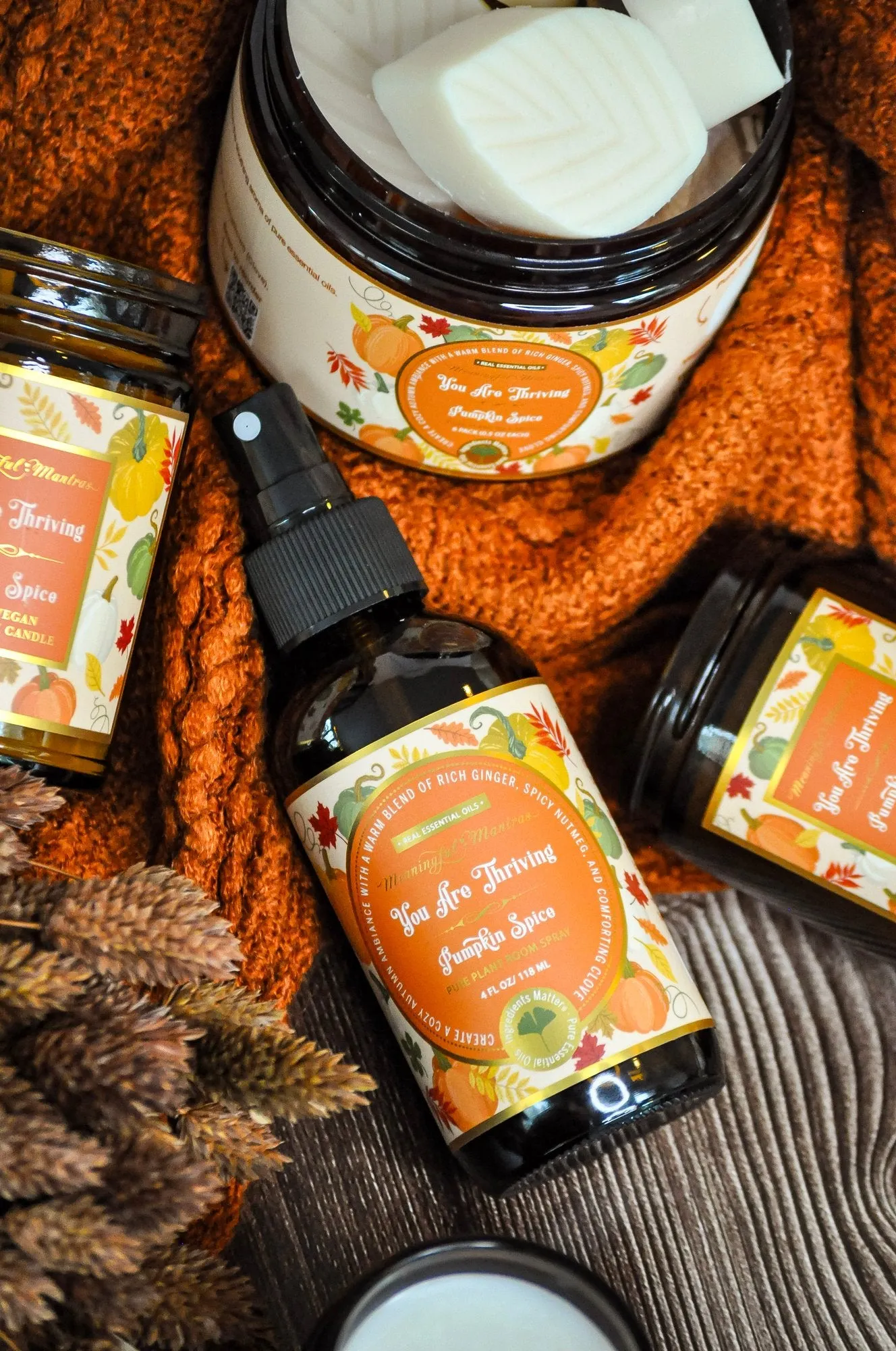You Are Thriving Pumpkin Spice Room Spray